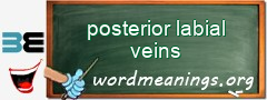 WordMeaning blackboard for posterior labial veins